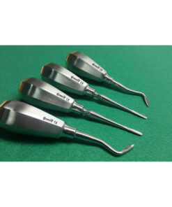 4 Dental Root Elevator Pedo 2 Bein & 2 Flhor with Gold Handle Dental Instrument
