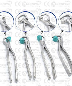 Authentic Physics Forceps Standard Series Golden Dent Extraction Forceps Set of 4